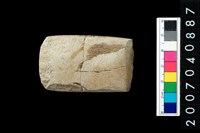 藏品(石錛)的圖片