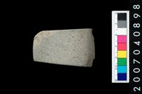 藏品(石錛)的圖片