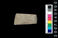 藏品(石錛)的圖片