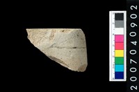 藏品(石錛)的圖片