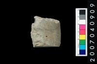 藏品(石錛)的圖片