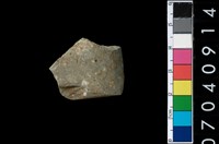 藏品(石錛)的圖片