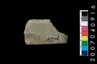 藏品(石錛)的圖片