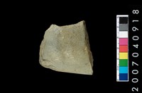 藏品(石錛)的圖片