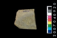 藏品(石錛)的圖片