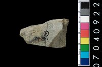 藏品(石錛)的圖片