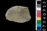 藏品(石錛)的圖片