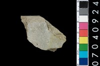 藏品(石錛)的圖片