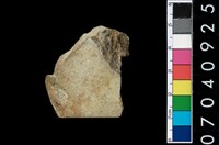 藏品(石錛)的圖片