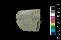 藏品(石錛)的圖片