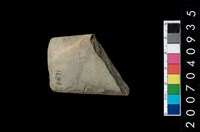 藏品(石錛)的圖片