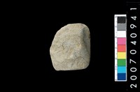 藏品(石錛)的圖片