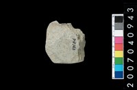 藏品(石錛)的圖片