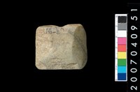 藏品(石錛)的圖片