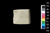 藏品(石錛)的圖片