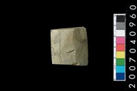 藏品(石錛)的圖片