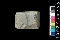 藏品(石錛)的圖片