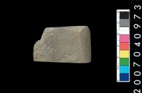 藏品(石錛)的圖片