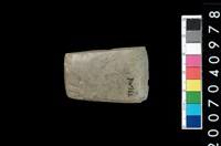 藏品(石錛)的圖片