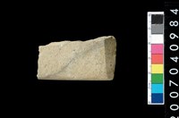 藏品(石錛)的圖片