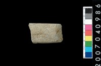 藏品(石錛)的圖片