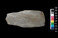 藏品(石錛)的圖片