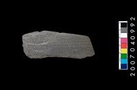 藏品(石錛)的圖片