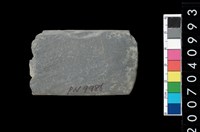 藏品(石錛)的圖片