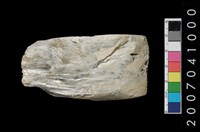 藏品(玉錛)的圖片