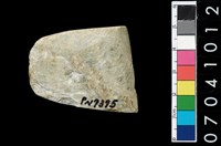 藏品(玉錛)的圖片