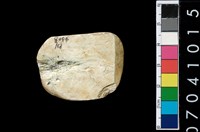 藏品(玉錛)的圖片