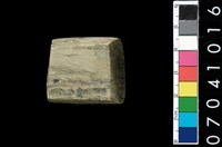 藏品(玉錛)的圖片