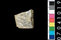 藏品(石錛)的圖片