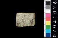 藏品(玉錛)的圖片