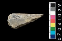 藏品(玉錛)的圖片