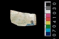 藏品(石錛)的圖片