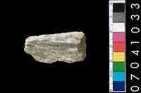 藏品(石錛)的圖片