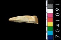 藏品(玉鑿)的圖片