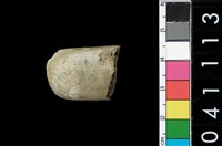 藏品(石錛之殘件)的圖片