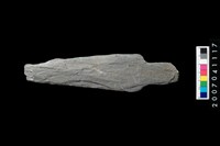 藏品(石矛)的圖片