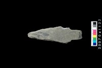 藏品(石矛)的圖片