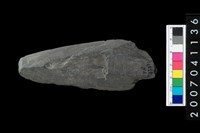 藏品(石矛)的圖片