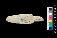 藏品(石矛)的圖片