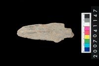 藏品(石矛)的圖片