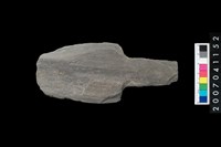 藏品(石矛)的圖片