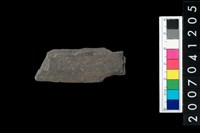 藏品(石矛)的圖片