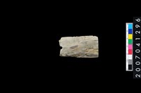 藏品(石矛)的圖片