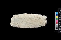 藏品(石矛)的圖片