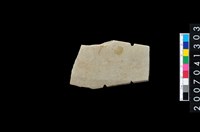 藏品(石矛)的圖片