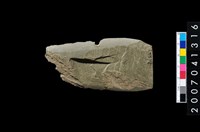 藏品(石矛)的圖片